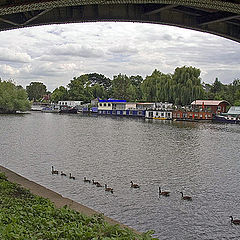 photo "Through the bridge"