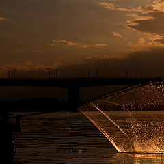 photo "Golden net"