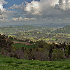 фото "Линии"