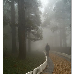 photo "fog"