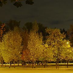 фото "...ночь..осень...электрический свет"