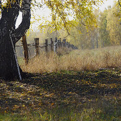 photo "The Autumn painting"