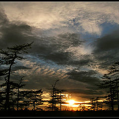 photo "The Guards of the Sunset"