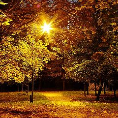 photo "... Night.. Autumn..."