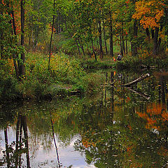 photo "In an autumn wood"