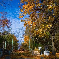 фото "Старая лестница"