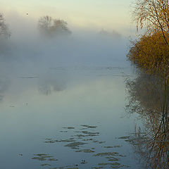 фото "Blue silence"