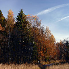 photo "Autumn into Abramtsevo"