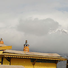фото "tibet series-Lhasa"