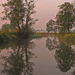 photo "Foggy morning in warm tones ( for Volga Borytsh)"