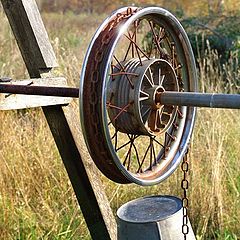 photo "Wheel..."