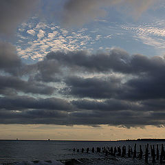 photo "Tejo River"