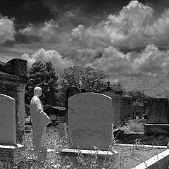 фото "Cemetery in Black & White"