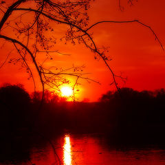 photo "Etude in red tones"