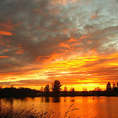 photo "Sunset in October"