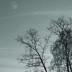 photo "View with the moon"