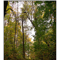 photo "Park, slope, lantern..."