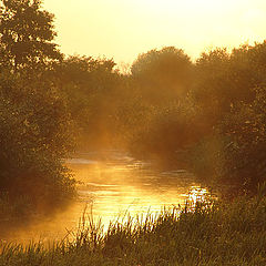 photo "Gold river"