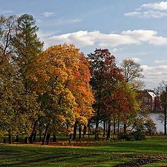 photo "The Golden Autumn In Pushkin 2"