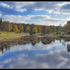 photo "Warmly autumn park"