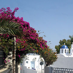 photo "Santorini#8"