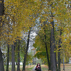 photo "AUTUMN AVENUE"