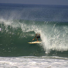 фото "surfin"