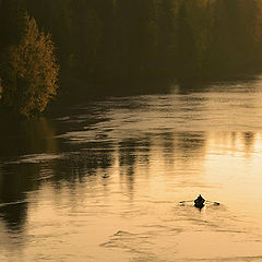 photo "Rowing on a river"
