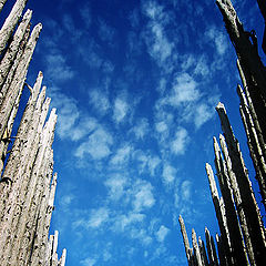 фото "Sky, fenced off"