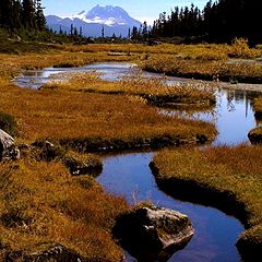 photo "Brandywine Meadows"