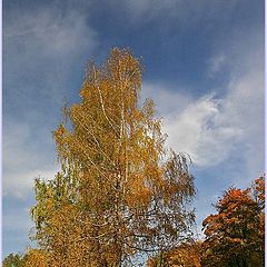 photo "Golden Dress"