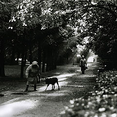 photo "the parkway"