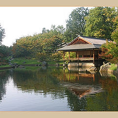 фото "The japanes tea-house"