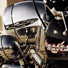 фото "Harley"