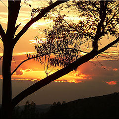 photo "fire and sky"