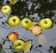 photo "Apple year"