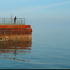 фото "Looking at blue"