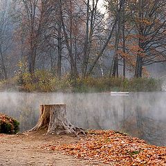 photo "Autumn morning picture with fog and stub"