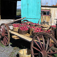 photo "farmers naturmort"