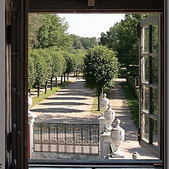 photo "View from a window of the Dutch small house in "Ku"