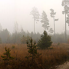 фото "Mistический пейзаж"