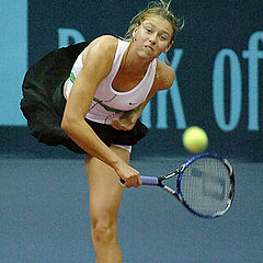 photo "The Steadfast Tin Sharapova"