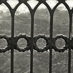 photo "Lattices"