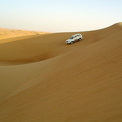 photo "The conqueror of desert"