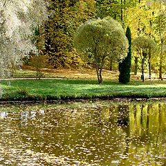 photo "Autumn in " Pushkin mountains ""