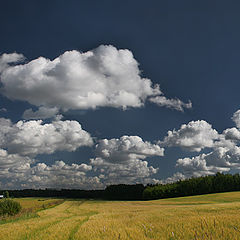 photo "On roads of Finland"