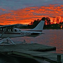 photo "Wanna fly?"