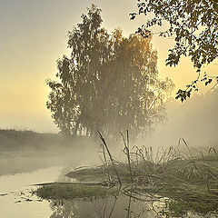 photo "On a foggy October morning..."