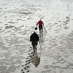 фото "Searching for crustacean gold"