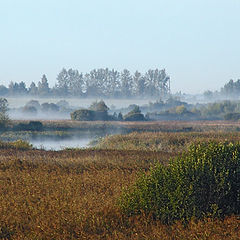 photo "Misty distances"